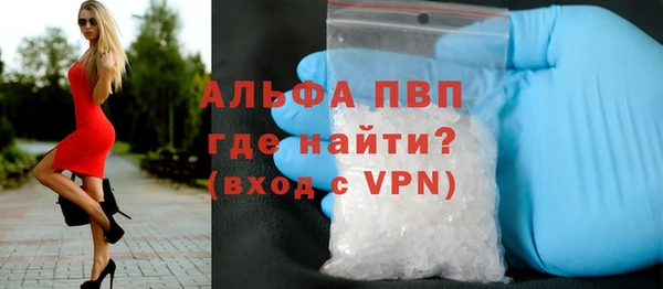 прущие грибы Бугульма
