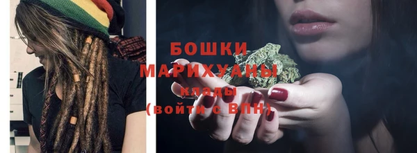 прущий лед Верея