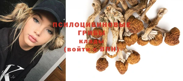 apvp Богданович