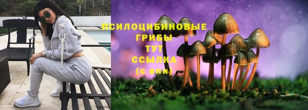 гидропоника Верхний Тагил