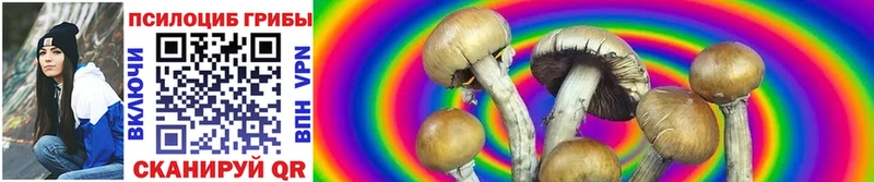 Псилоцибиновые грибы GOLDEN TEACHER  Купить закладки  Михайлов 